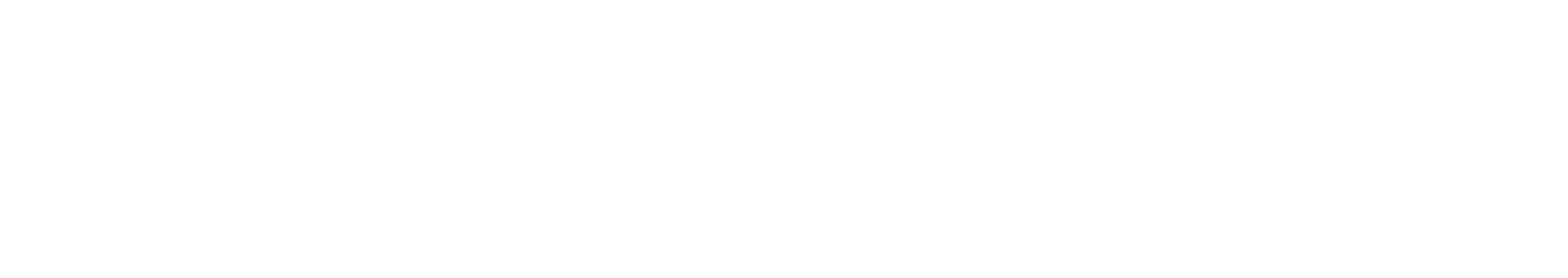 Skaneateles Cares Car Club